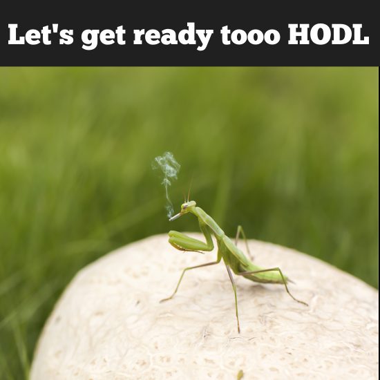 Hodl-12.jpg