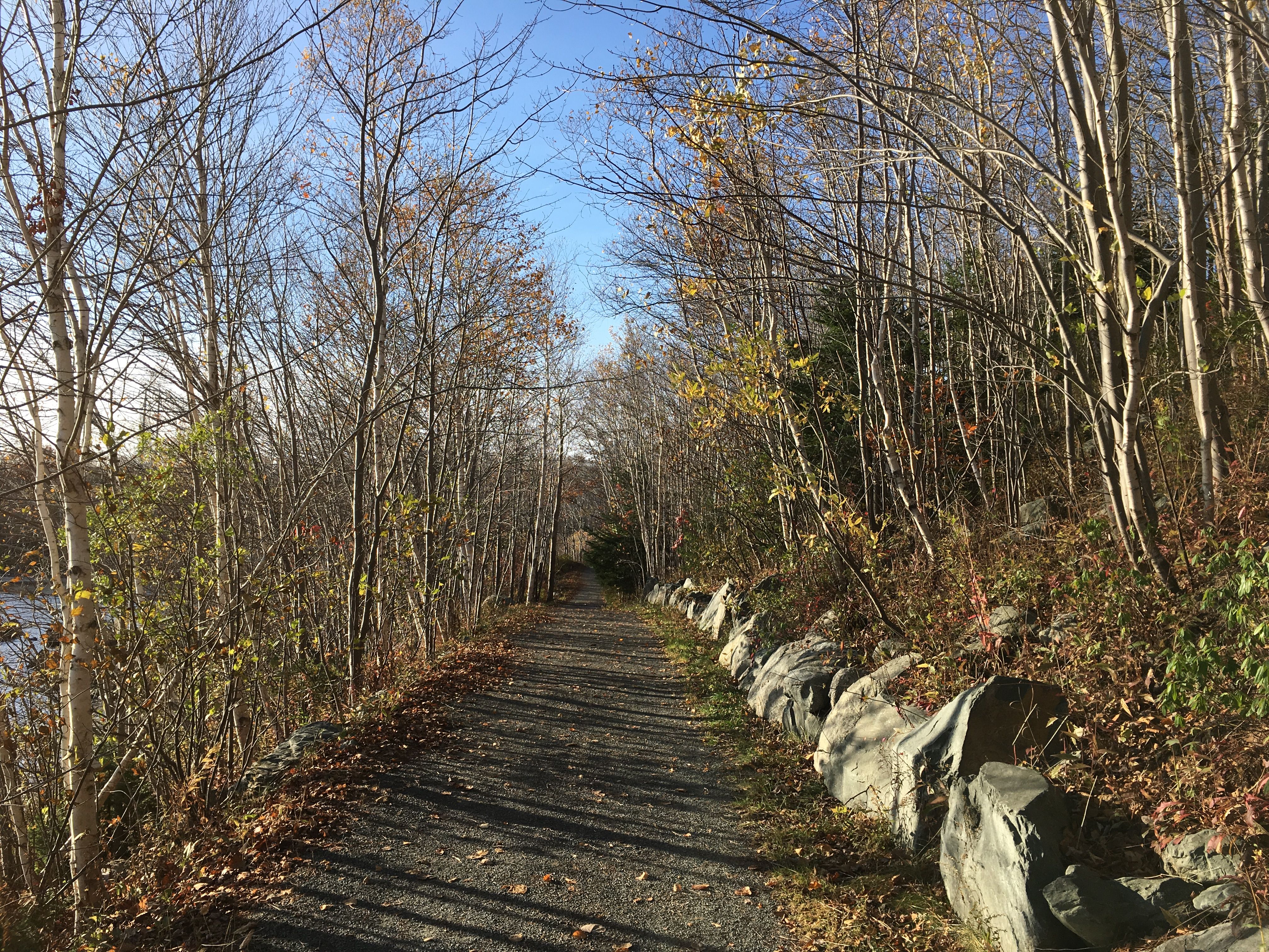 Trail_2017-11-05.JPG