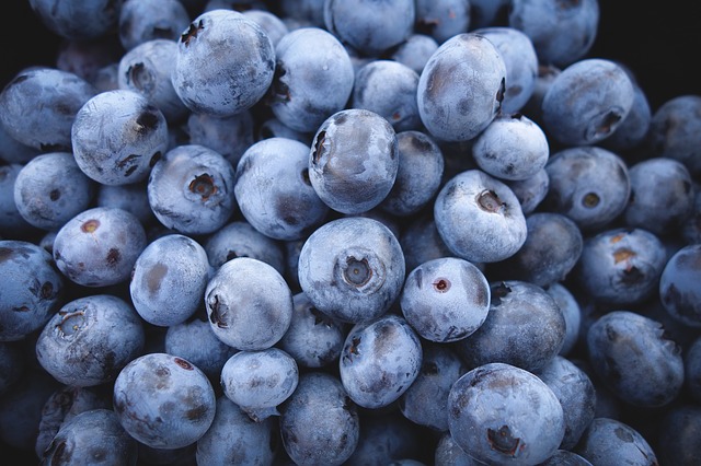 blueberries-690072_640.jpg