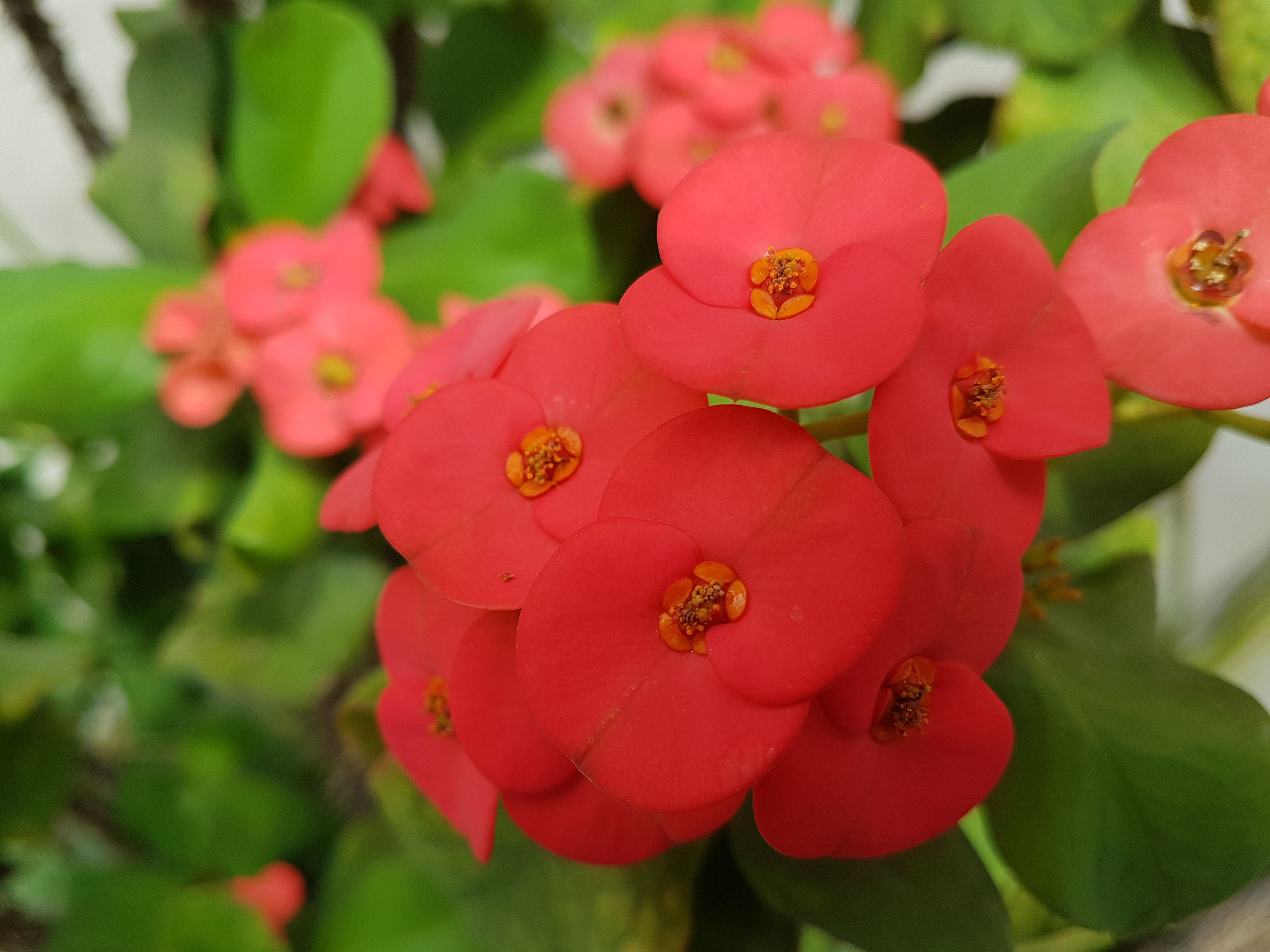 20170827_104457.jpg