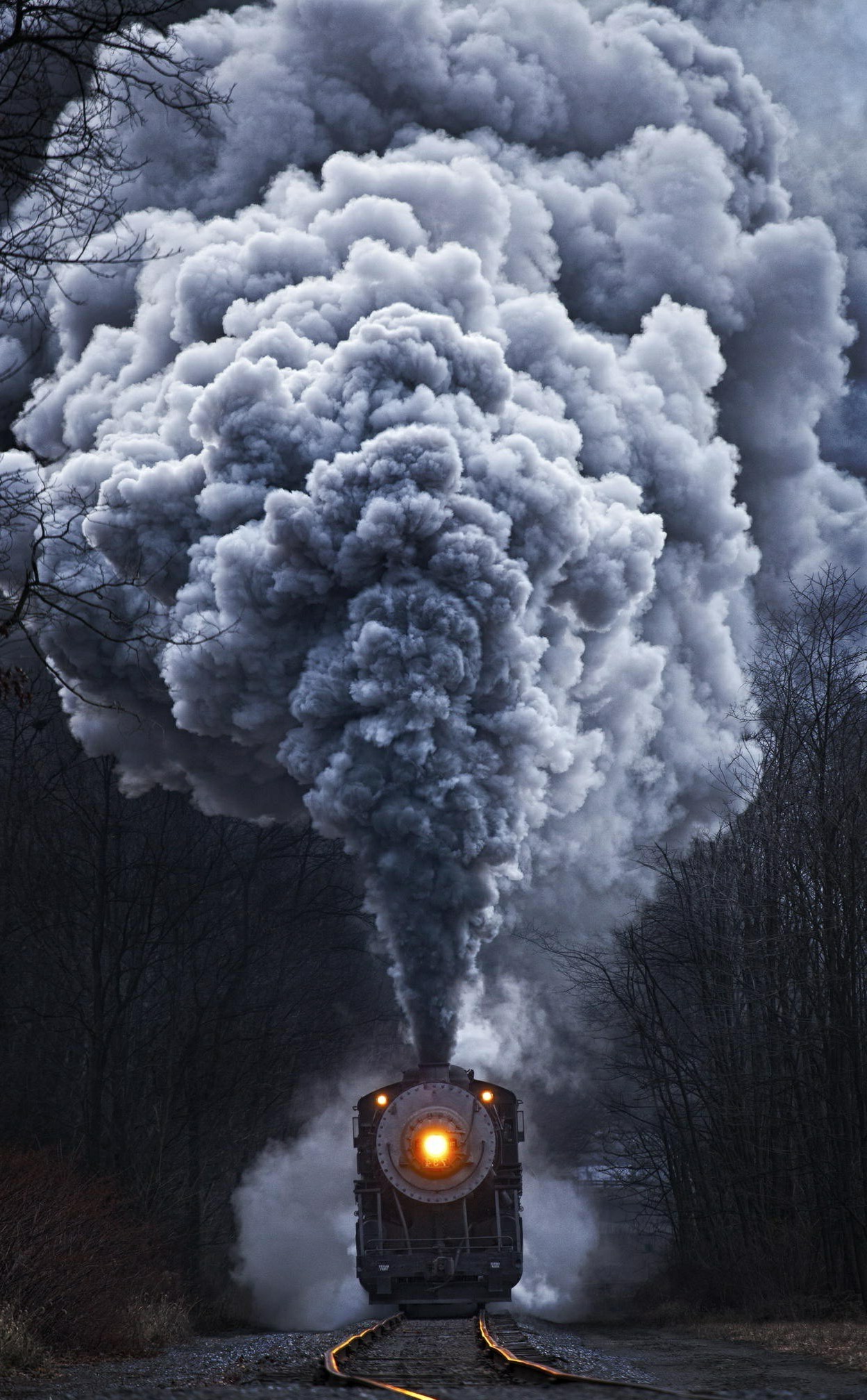 306639-nature-train-portrait_display.jpg