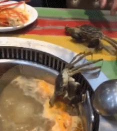 t018236ff0f34301166.gif