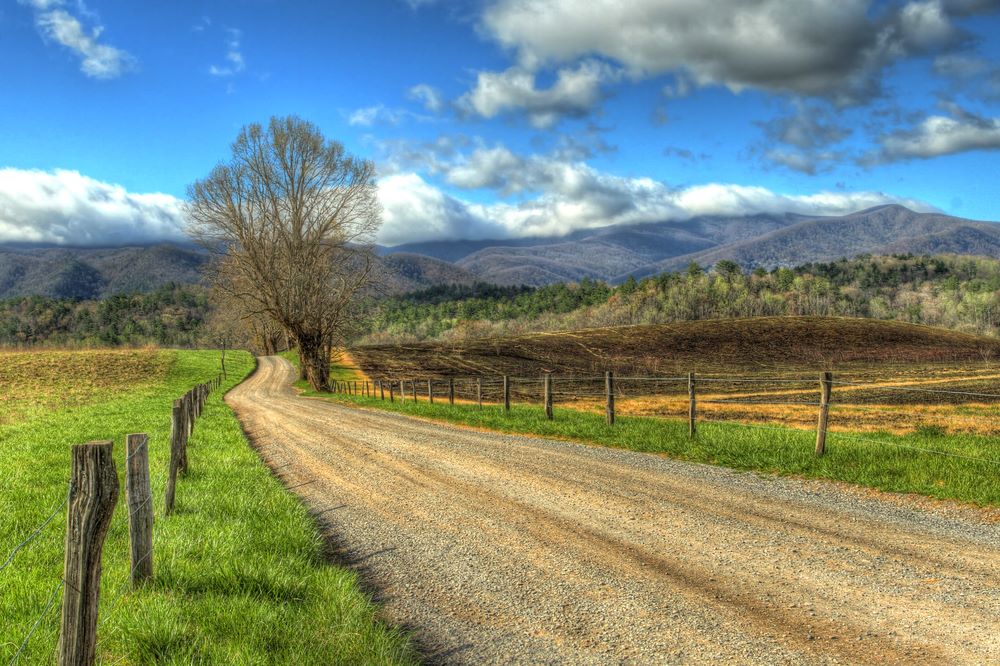 cade cove beautiful landscape.jpg