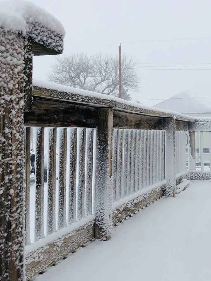 snow on railing.jpg