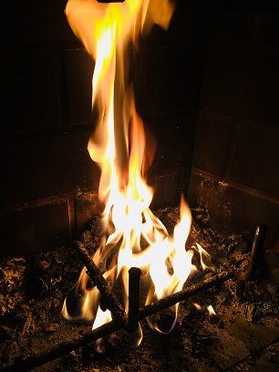 IMG_5679.jpg