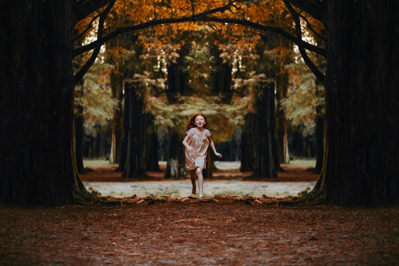 adorable-adventure-autumn-colours-573273.jpg
