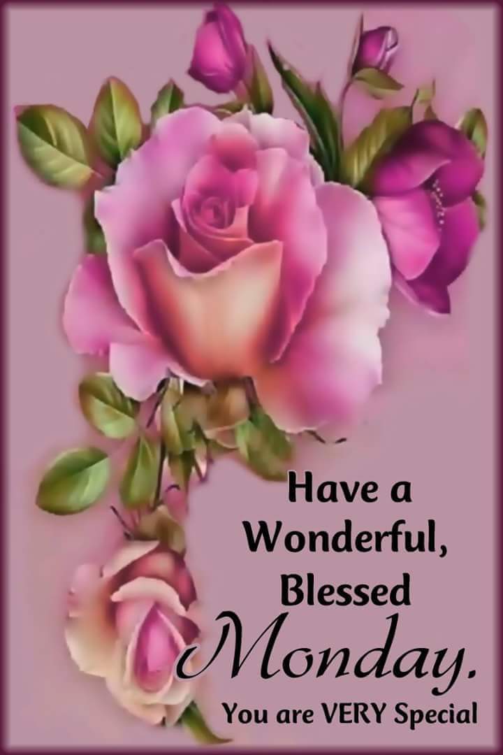 Happy Monday My Friend Happy Monday My Friends — Steemit