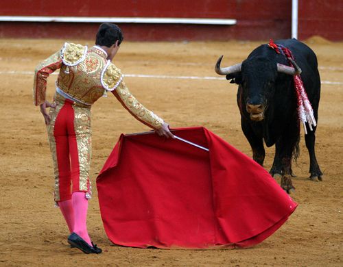 bullfight-bsp-23708306-500x390.jpg