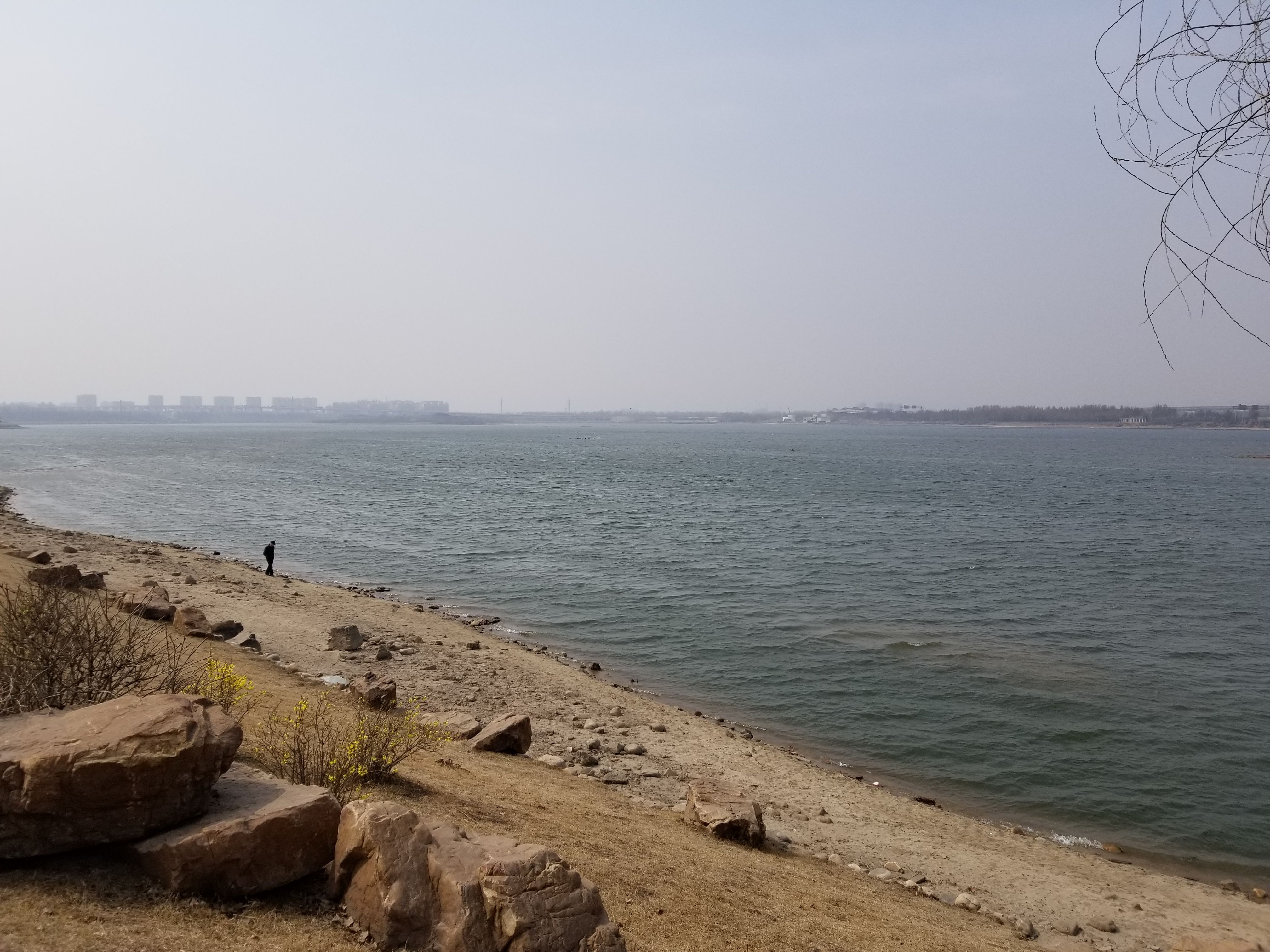 20180401_105018.jpg