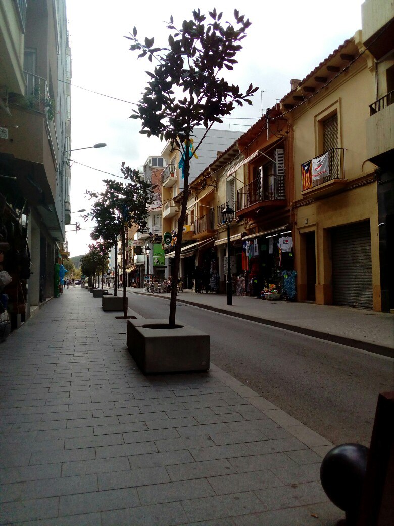 streets of callelia.jpg