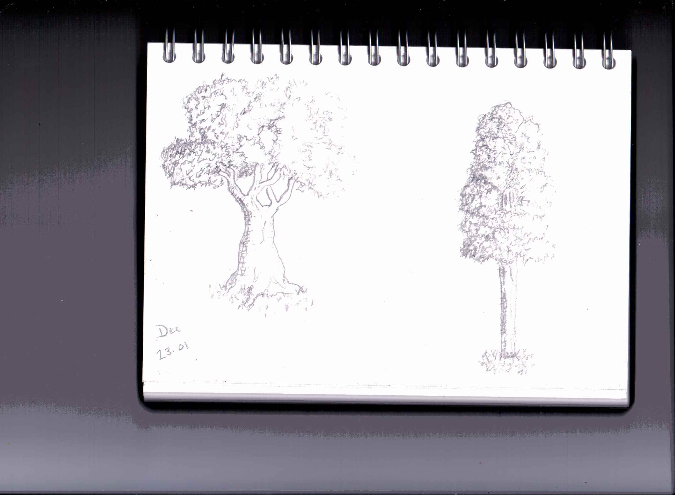 Practising Trees.jpg