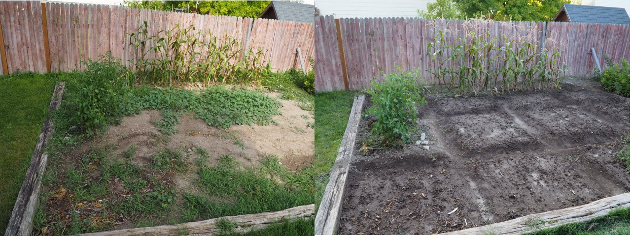 Garden before and after 1.png