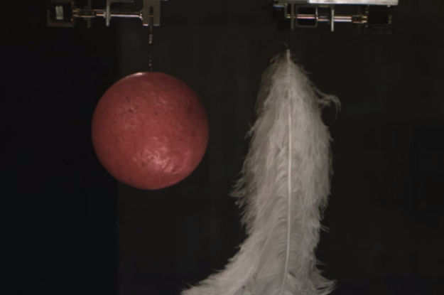 feather-ball_1024.png