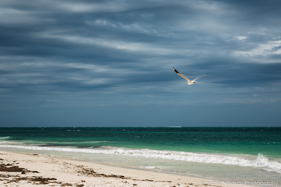 praia gaivota.jpg