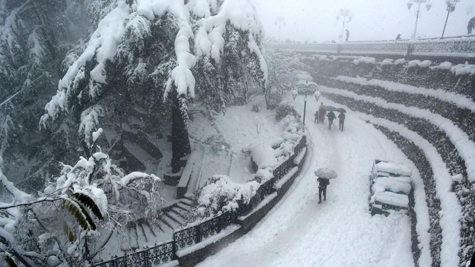 saturday-himachal-hindustan-snowfall-january-enjoying-january_b7ef6bdc-d4ad-11e6-a877-a82e4b02bda2.jpg