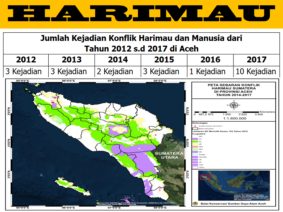 Harimau.png