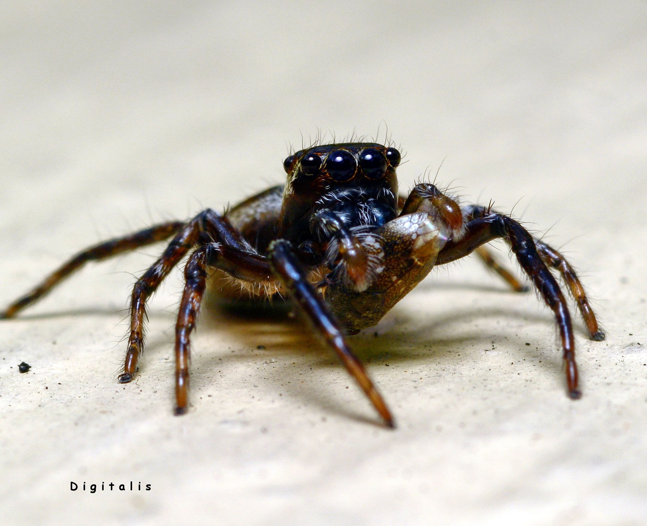 DSC_0846.JPG