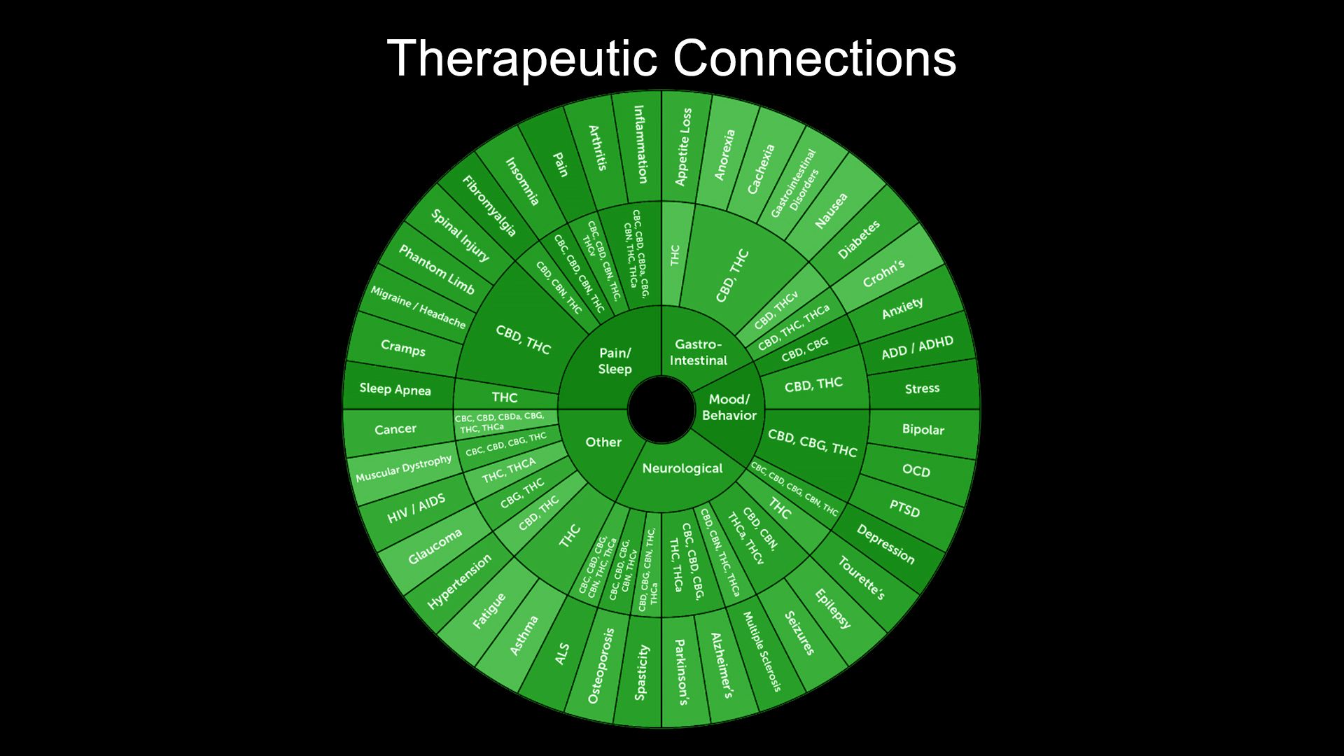 therapeutic connections.jpg