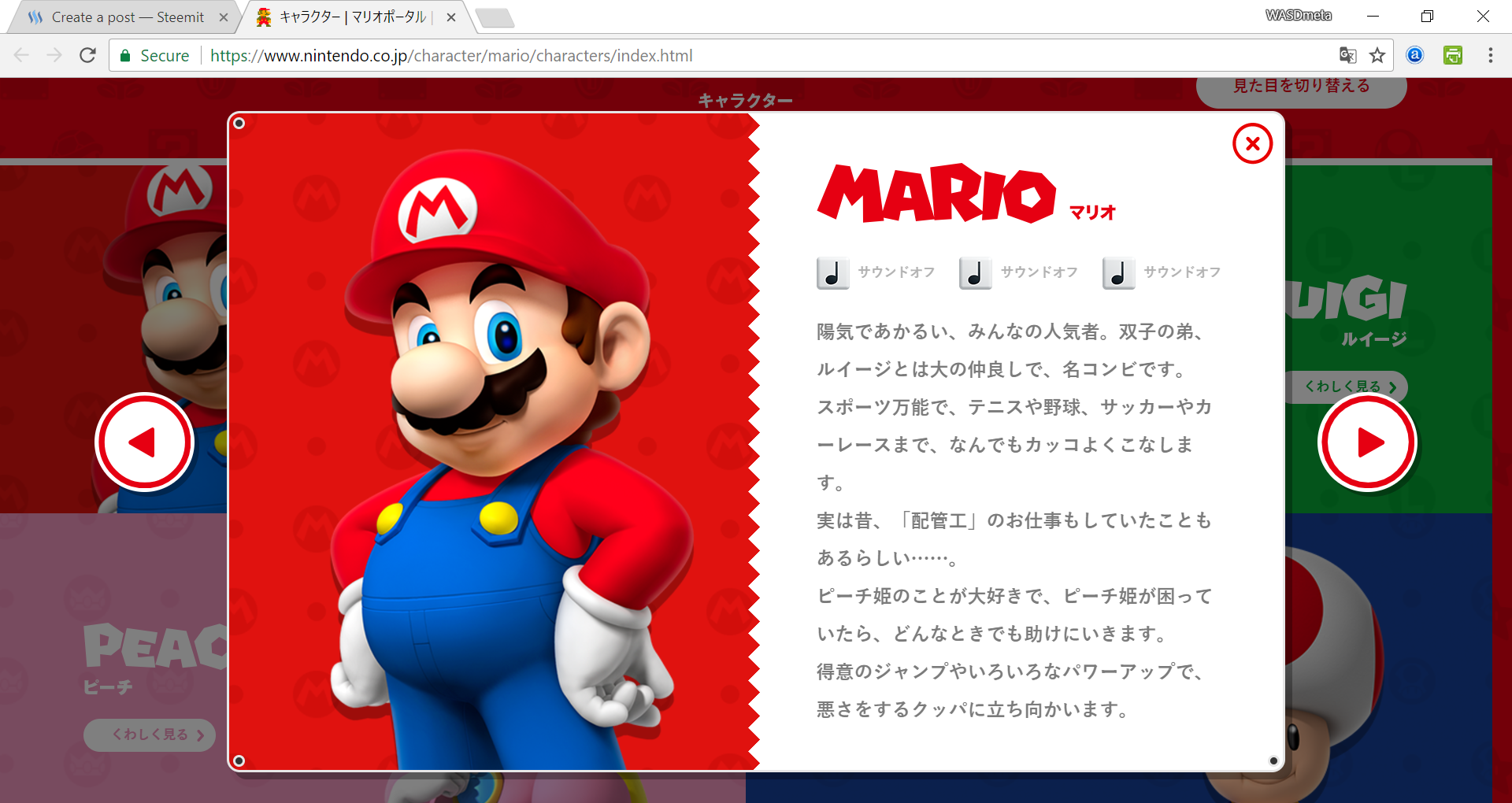 Mario's Japanese Bio.png