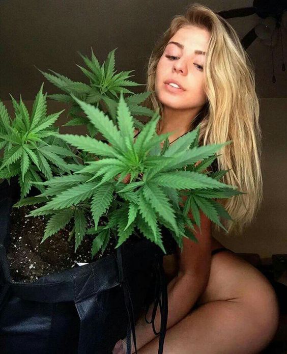 Girls on weed