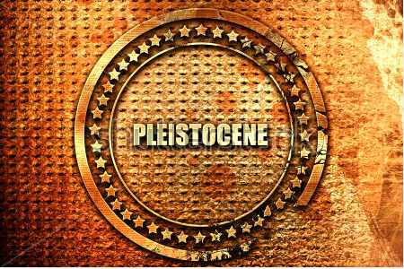 Pleistocene_Tag.PNG