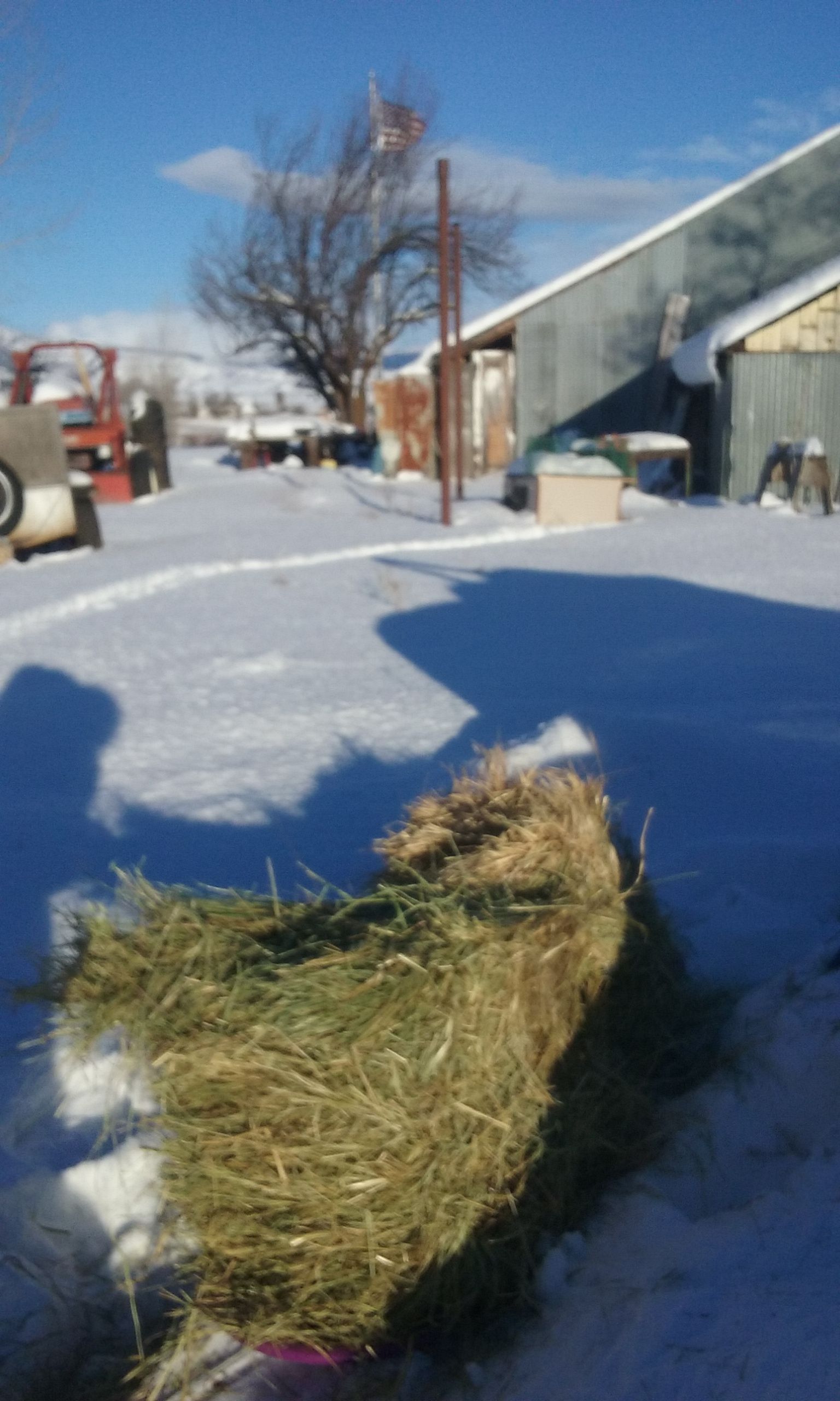 20180226_171451.jpg