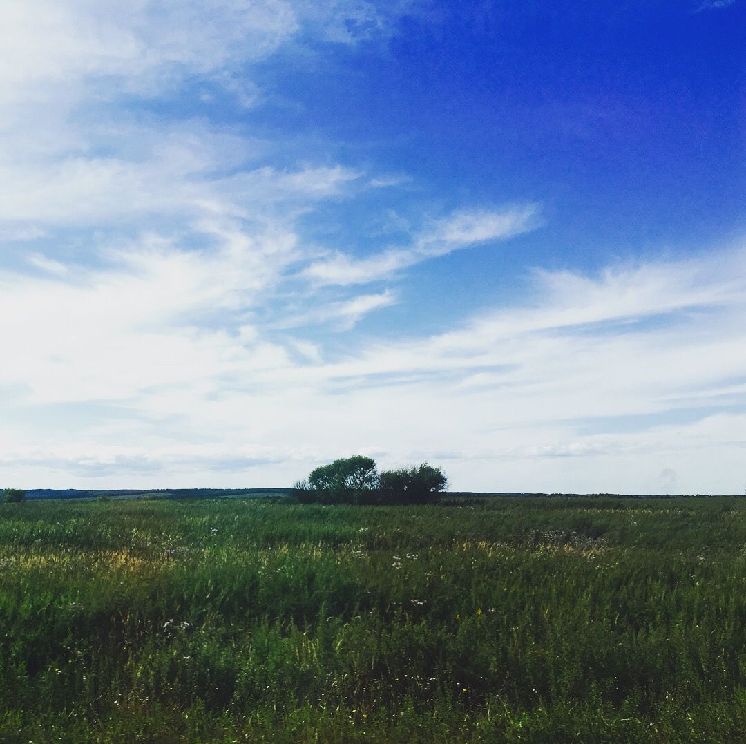F52F1F4B-65C4-4CC8-B8DF-2520A00FC2D2.jpeg