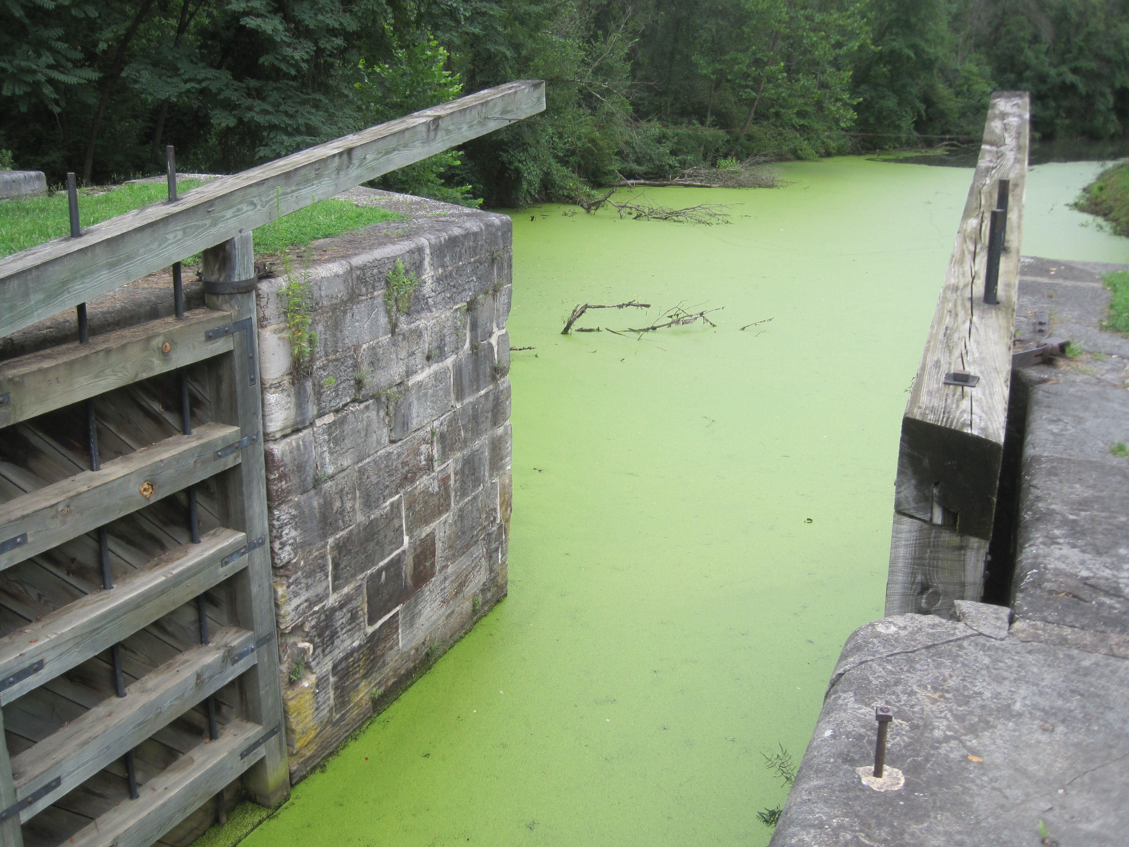 Canon PowerShot SD1200 IS209.JPG