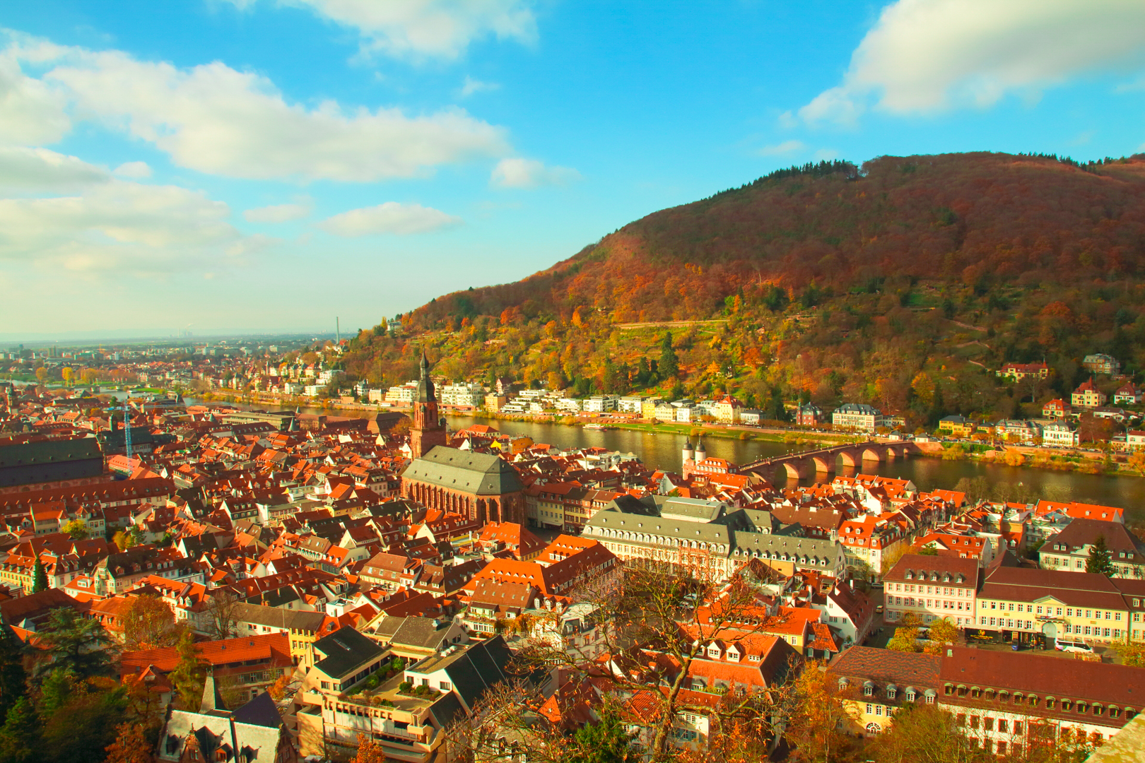 2017 Heidelberg 191.jpg