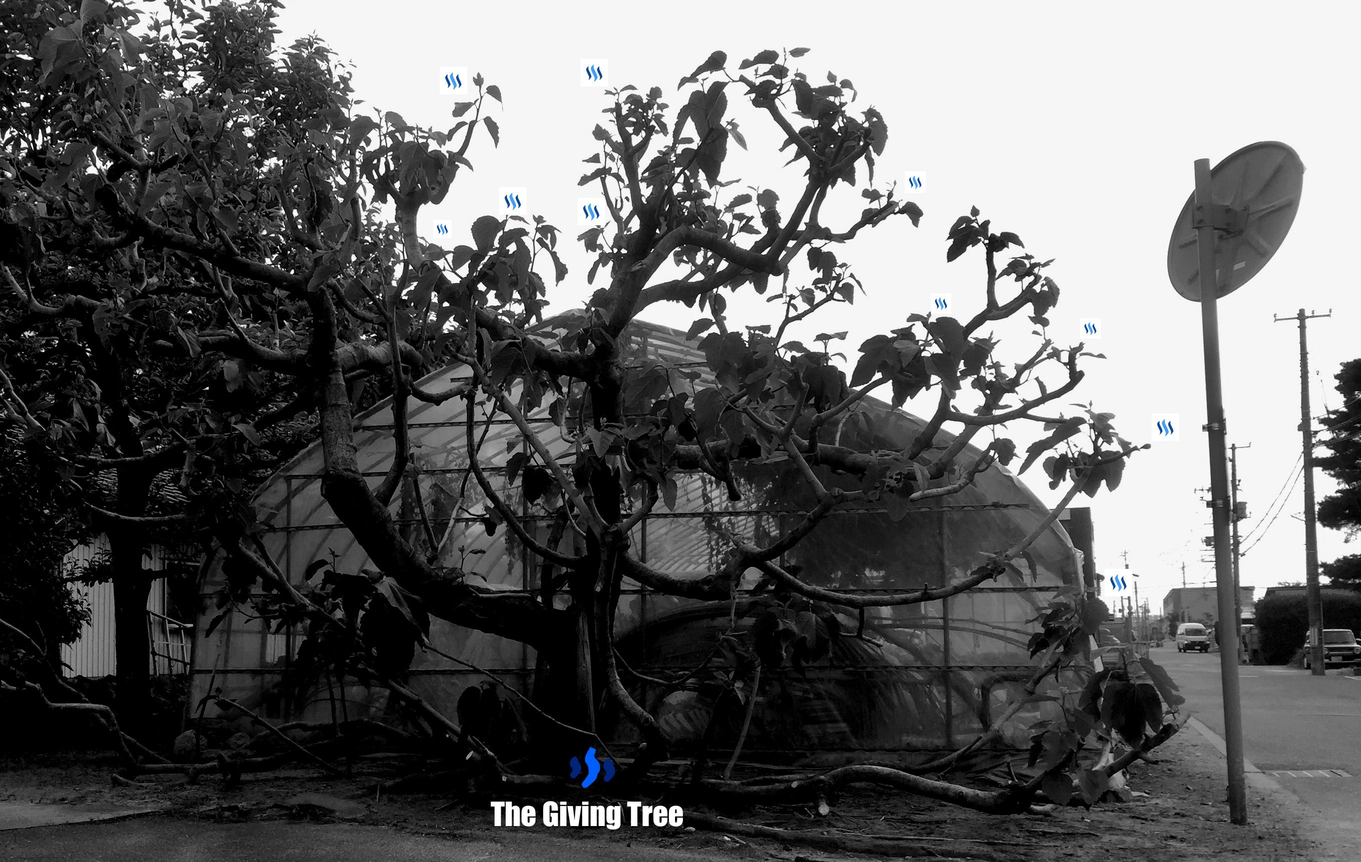 The Giving Tree.jpg