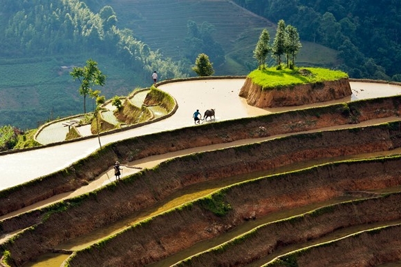 Hoang_Su_Phi_terraced_fields_in_rainy_season_07.jpg