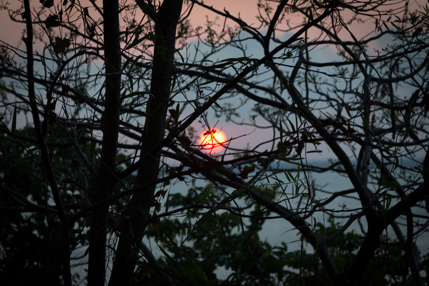 darwin  abstract sunset4.jpg