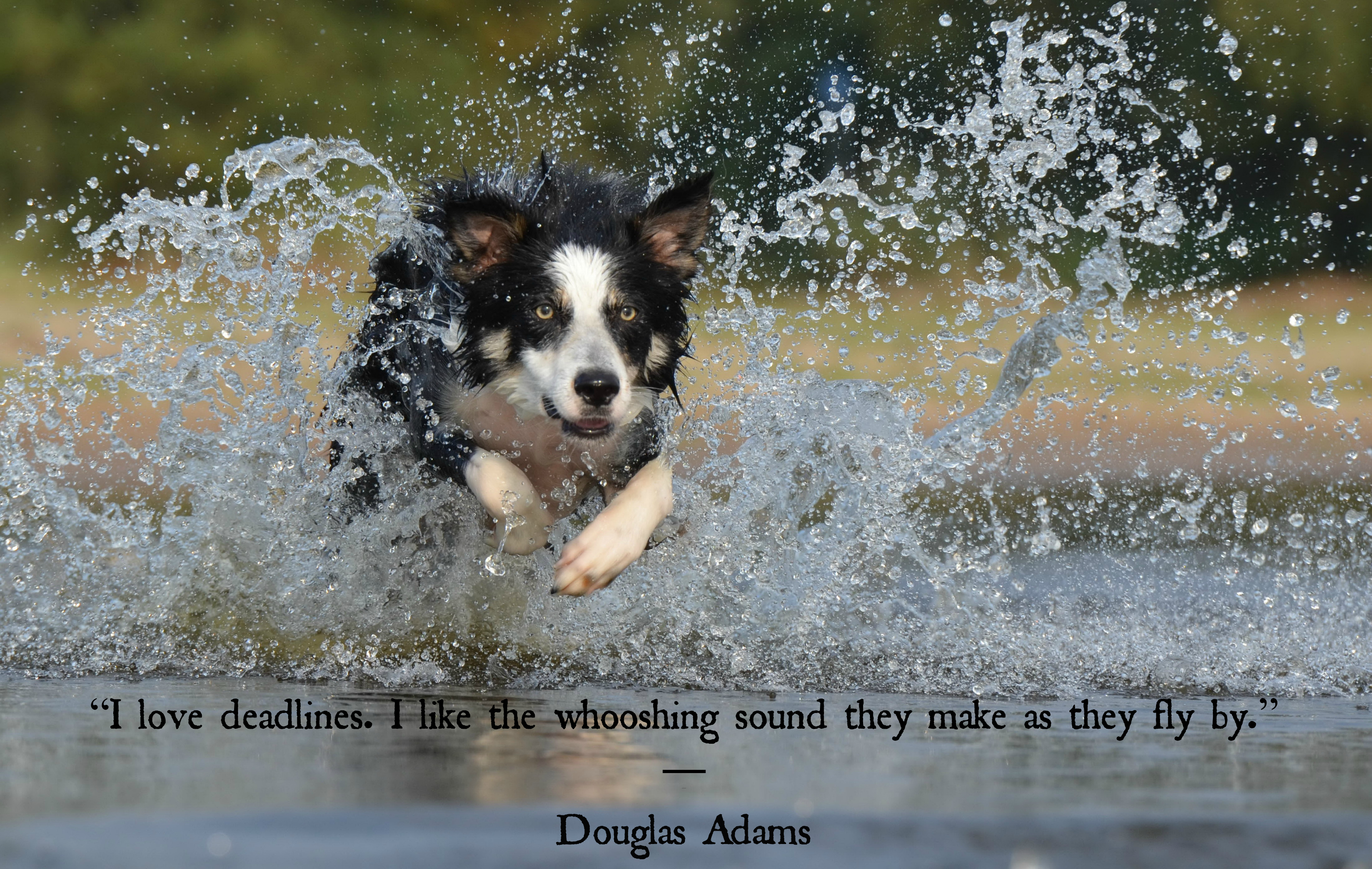 Douglas Adams quote 1.jpg