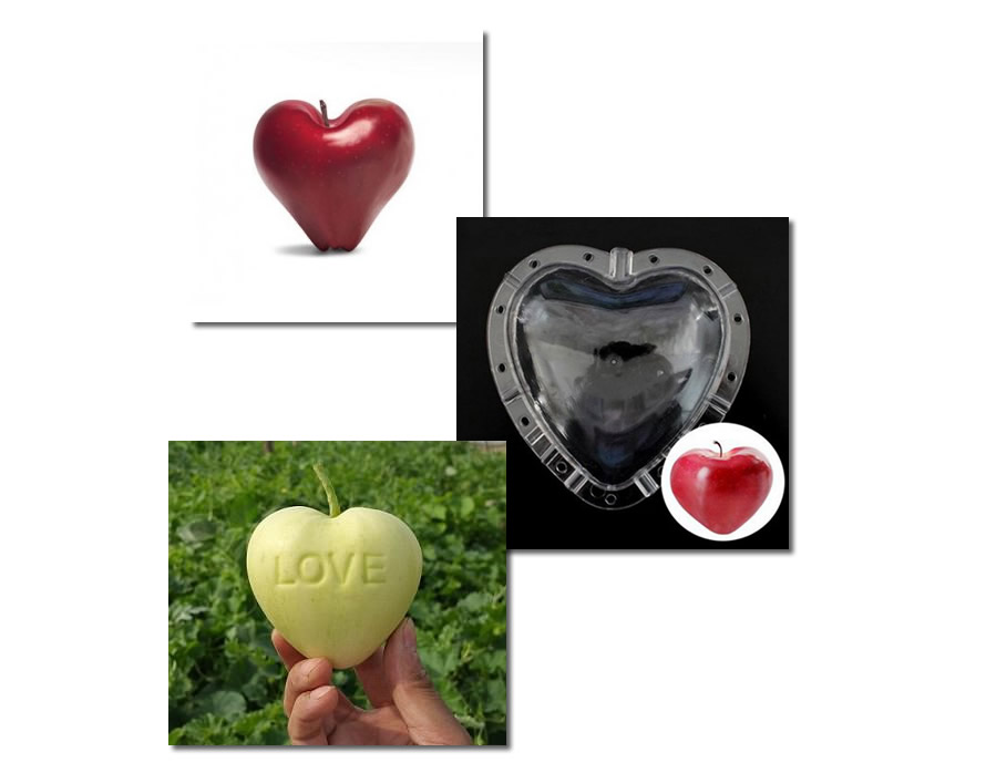 heart shaped apple.jpg