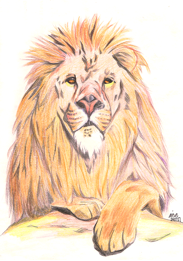 THE Lion