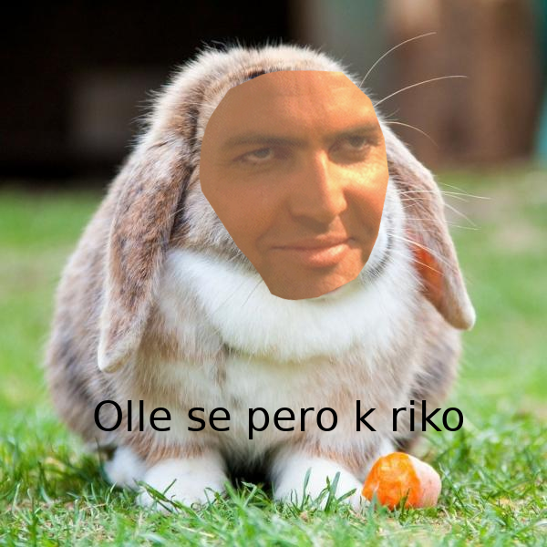 conejo.png