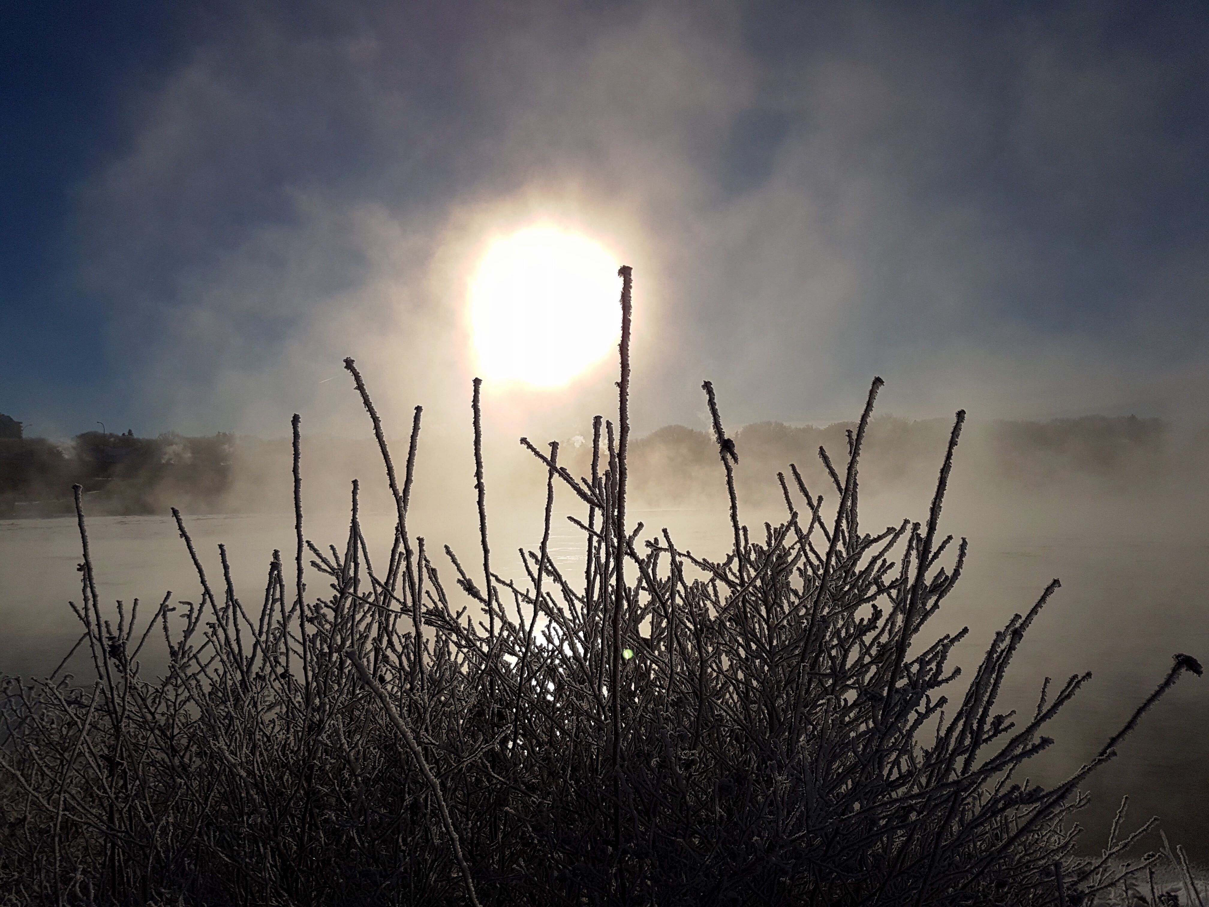A6A476DE-C19F-4293-A357-FB774F64766D.jpeg