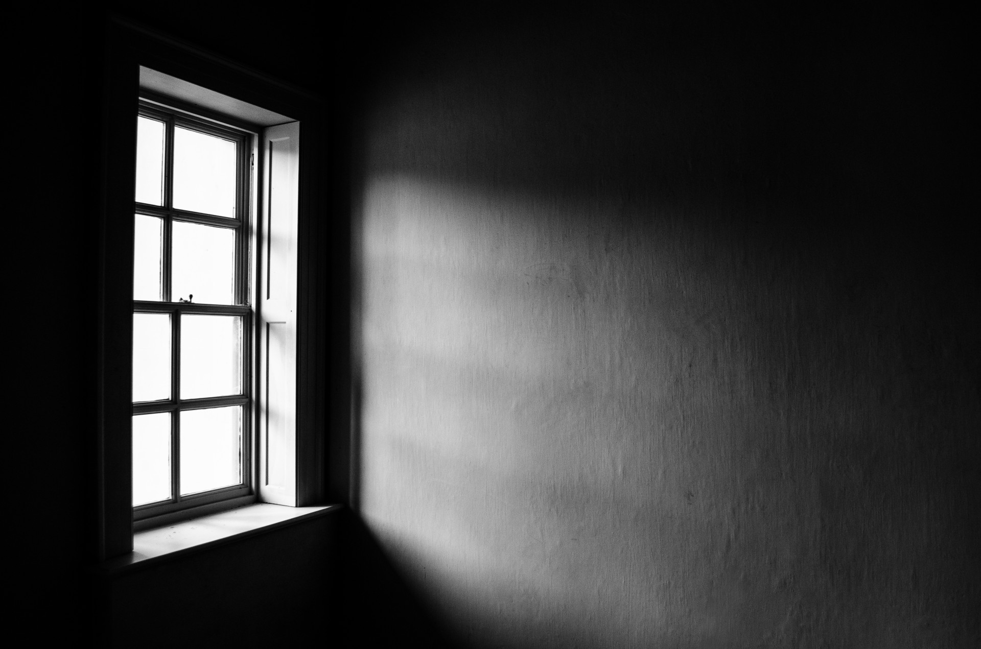 Window-1.jpg