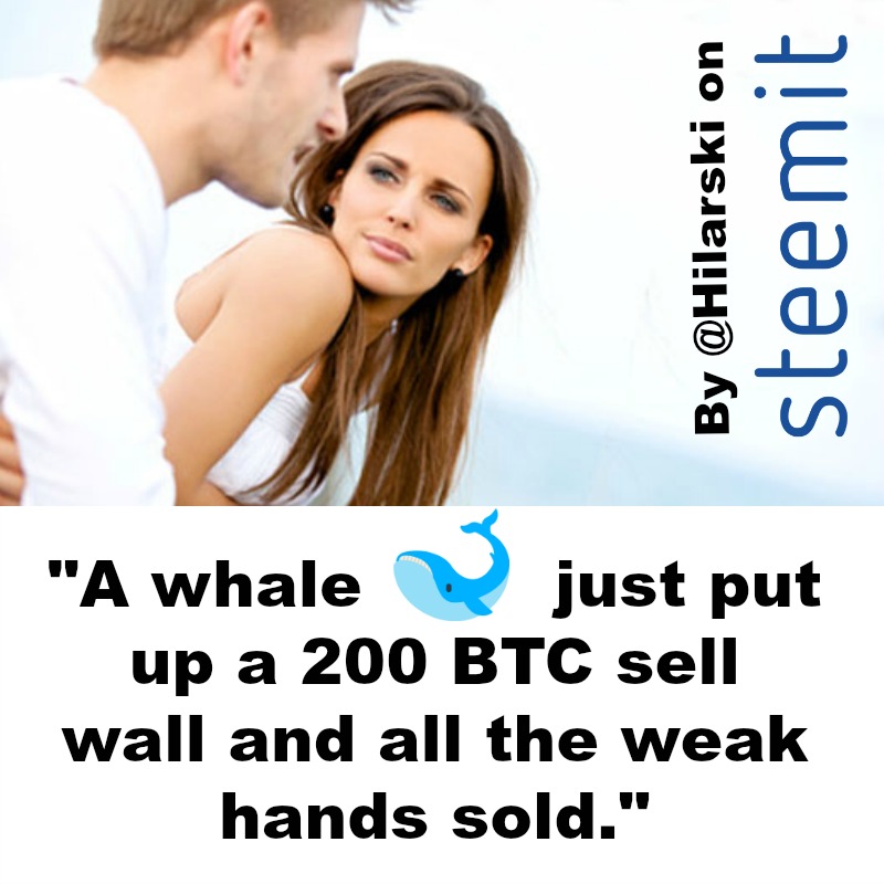 crypto-relationships-whale-sell-wall-hilarski.jpg