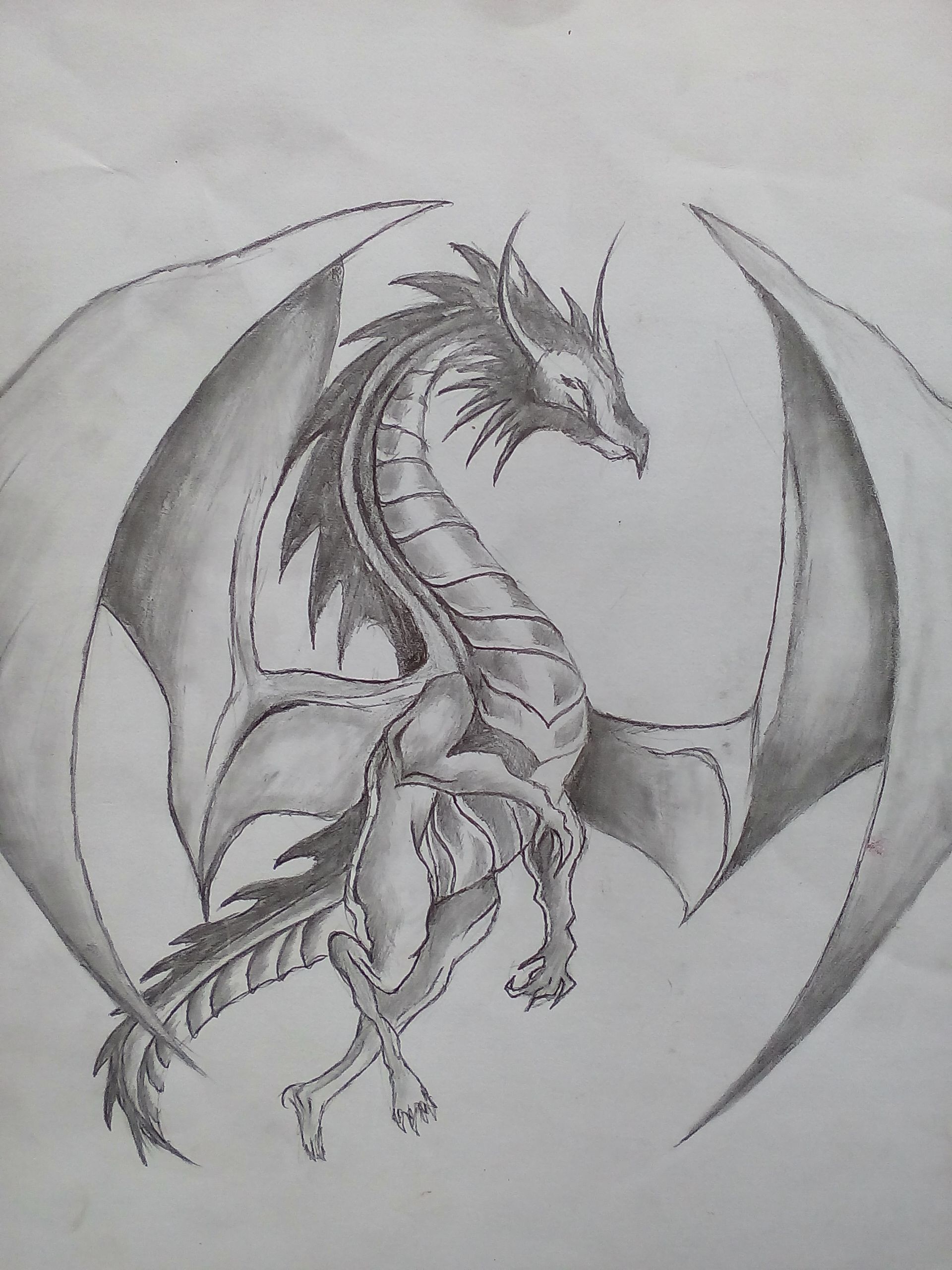 Pin by Teresa Poindexter on WOODBURNINGDragons  Dragon drawing Cool dragon  drawings Dragon head drawing