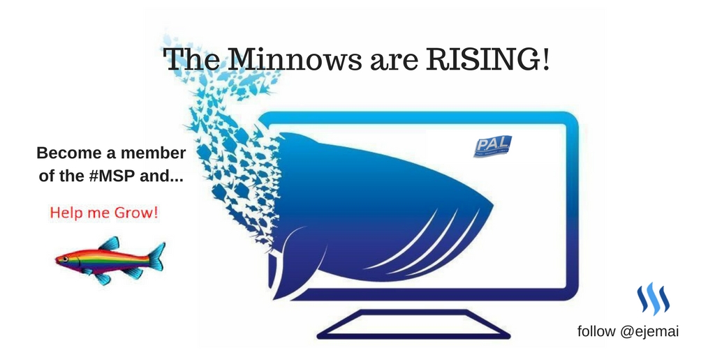 The Minnows are rising.jpg