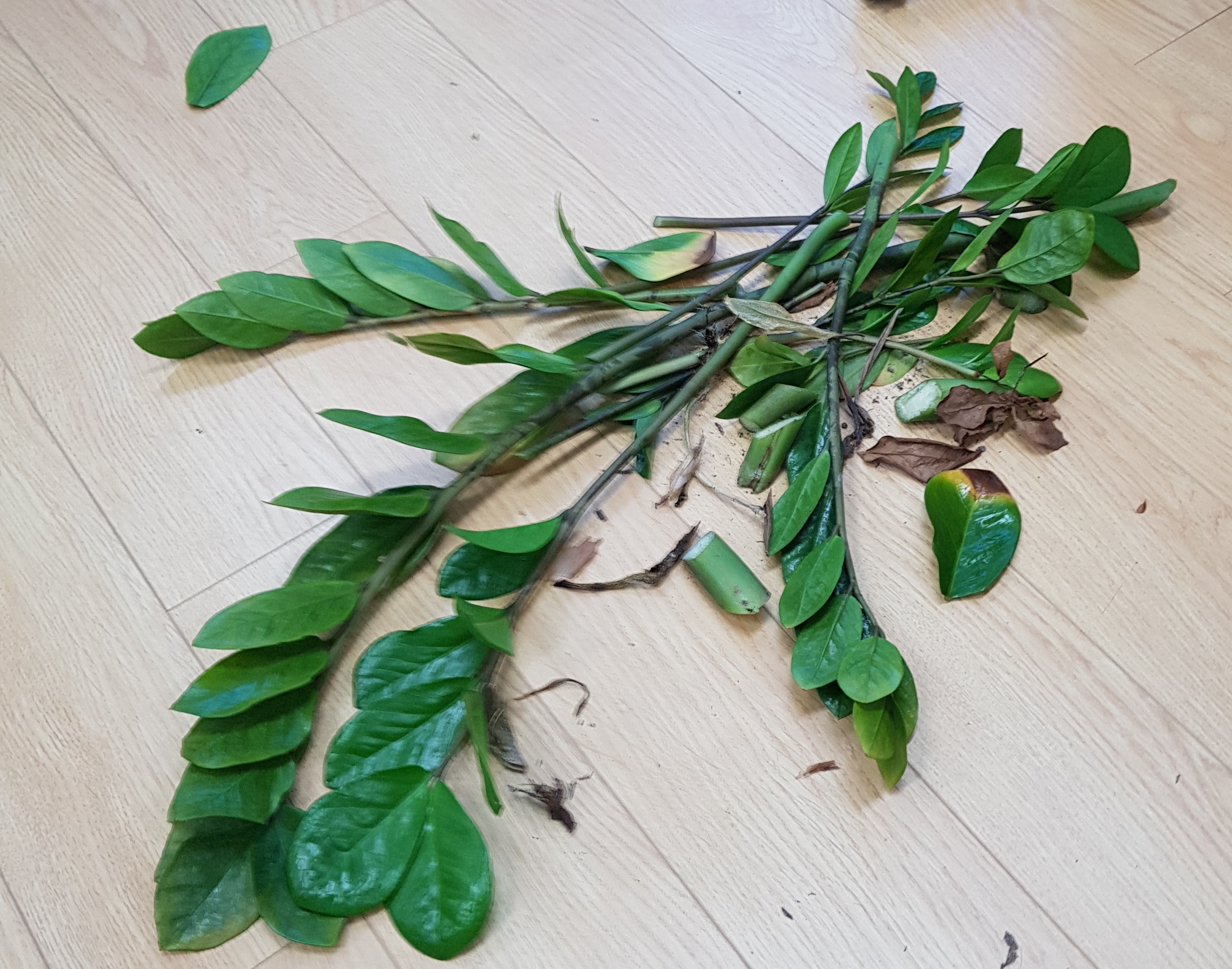 20180316_140735.jpg