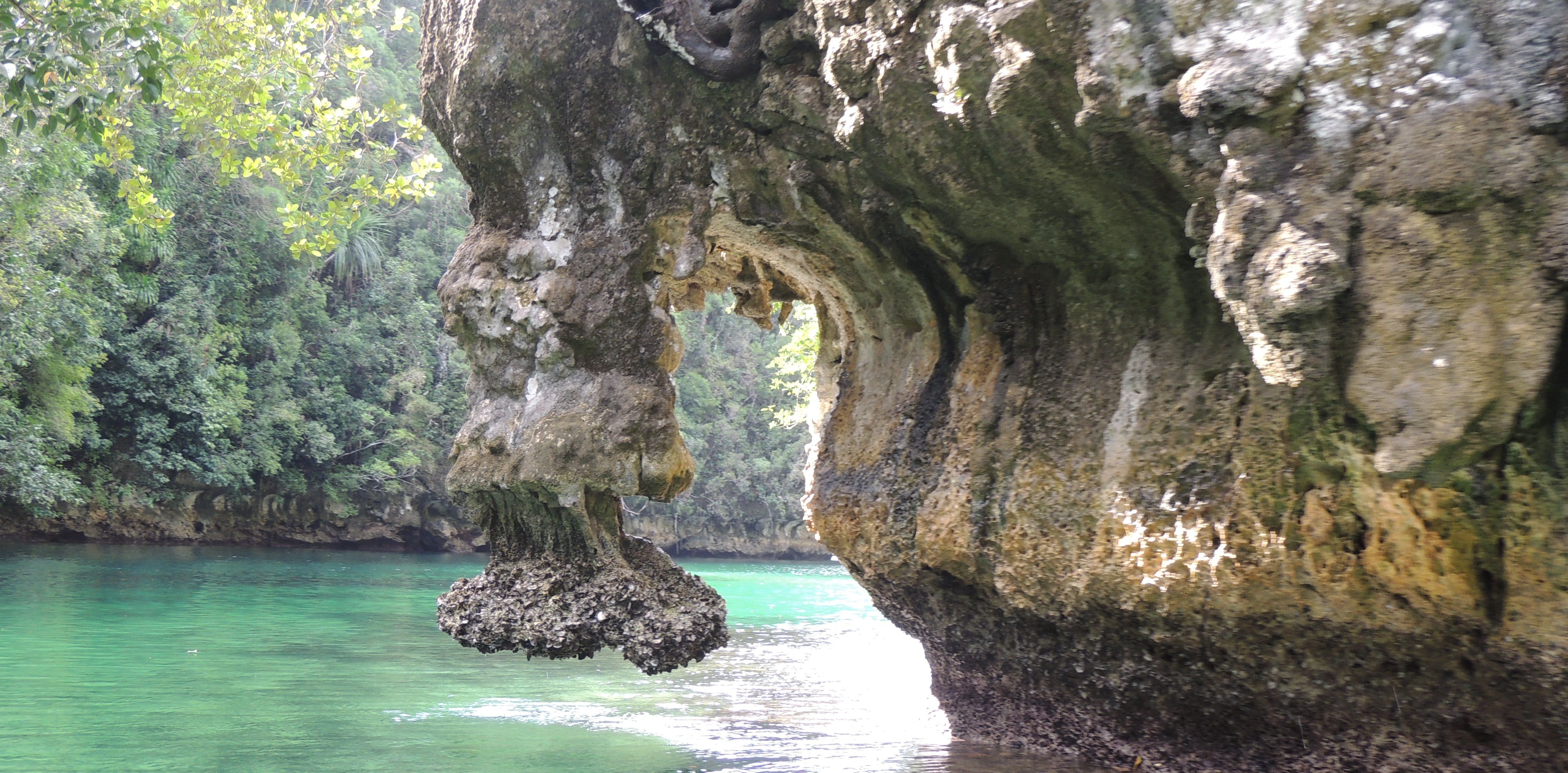 DSCN8263.JPG