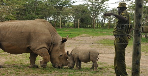 BLOGRingo-Sudan-Keeper.jpg