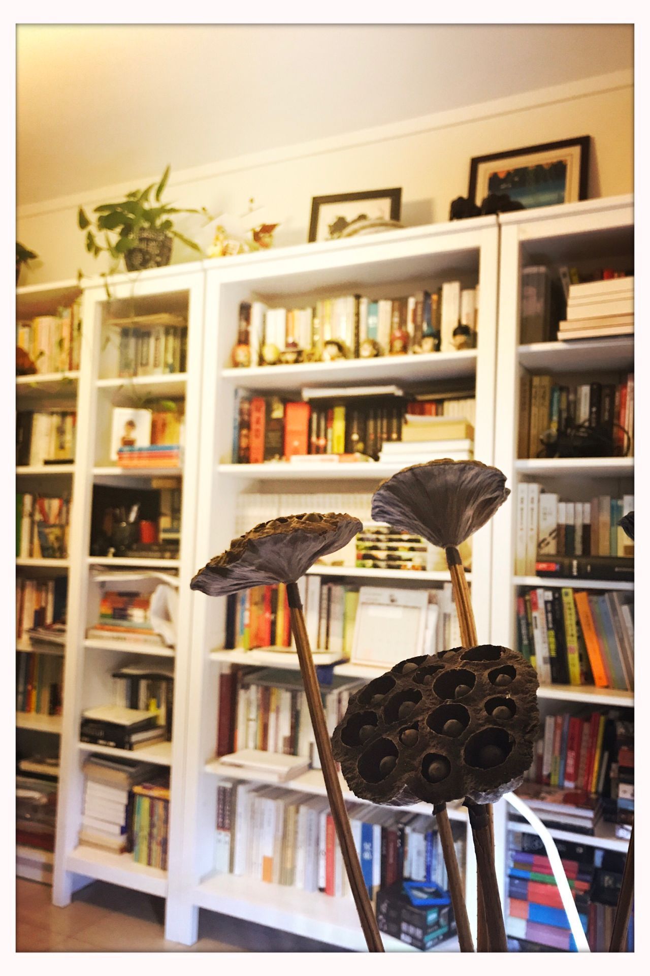 2017年读书总结 - 人生是一个不断成长的过程