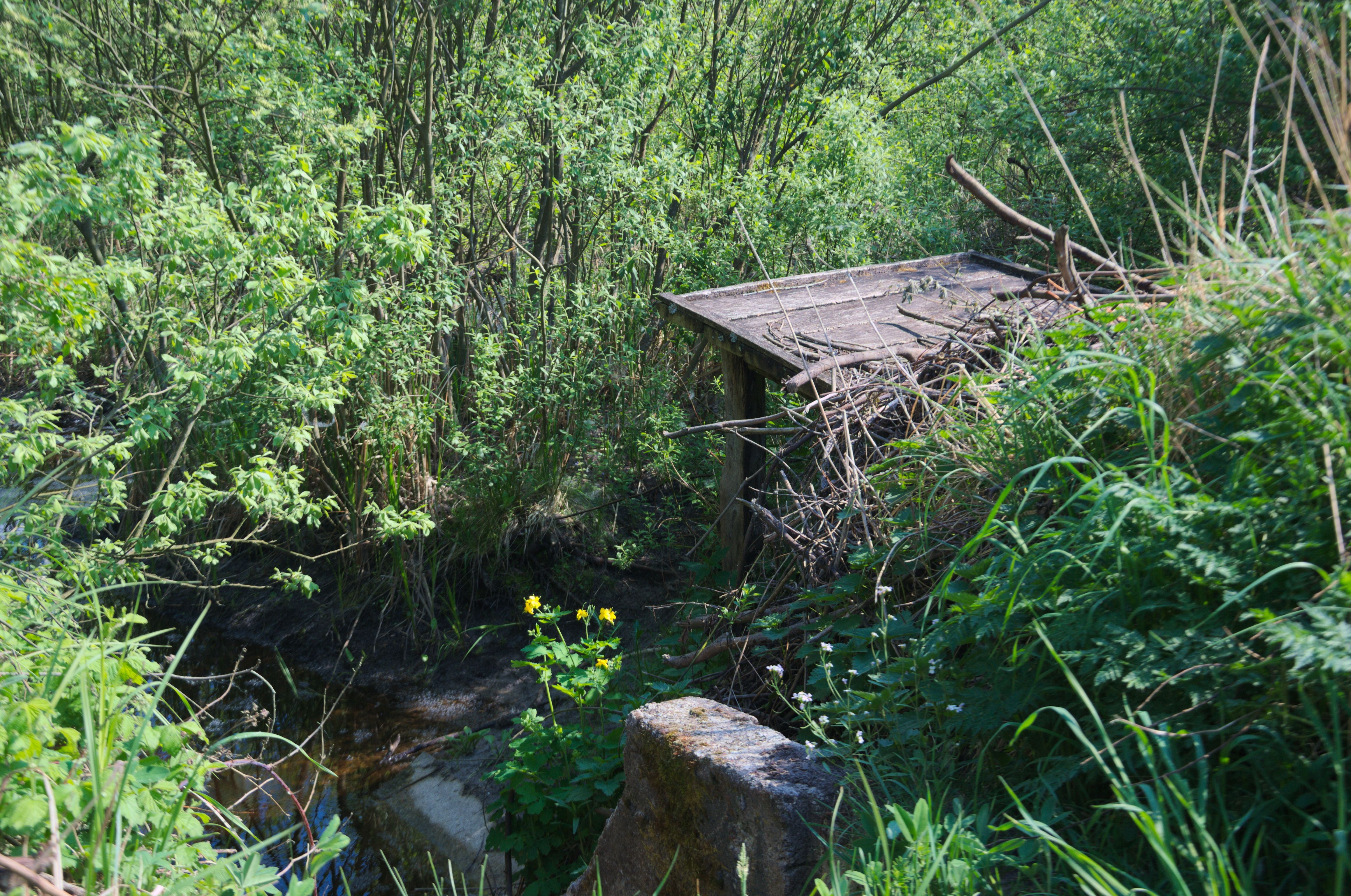 DSC_0576.jpg