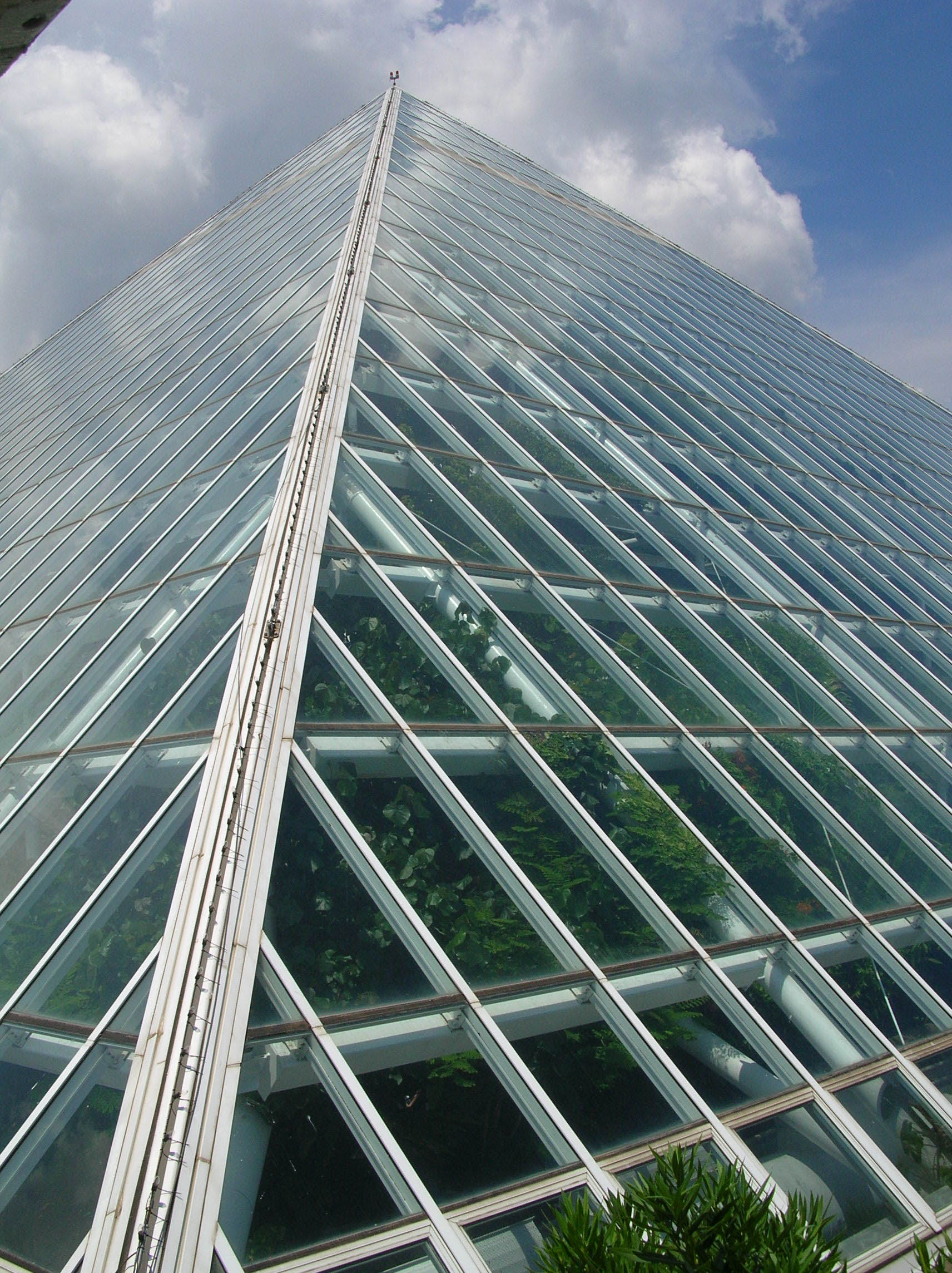 Rainforest Pyramid Moody Gardens Galveston Tx Steemit