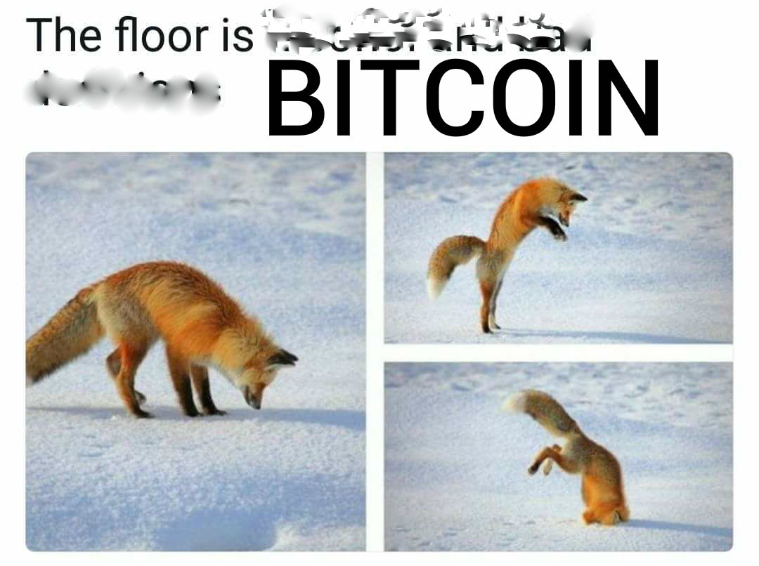 bitcoin2floor.jpg