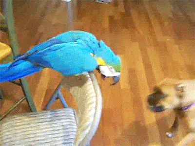 U5dqzyz4F69Eng5MwfTc4jqkc1a6M6k.gif