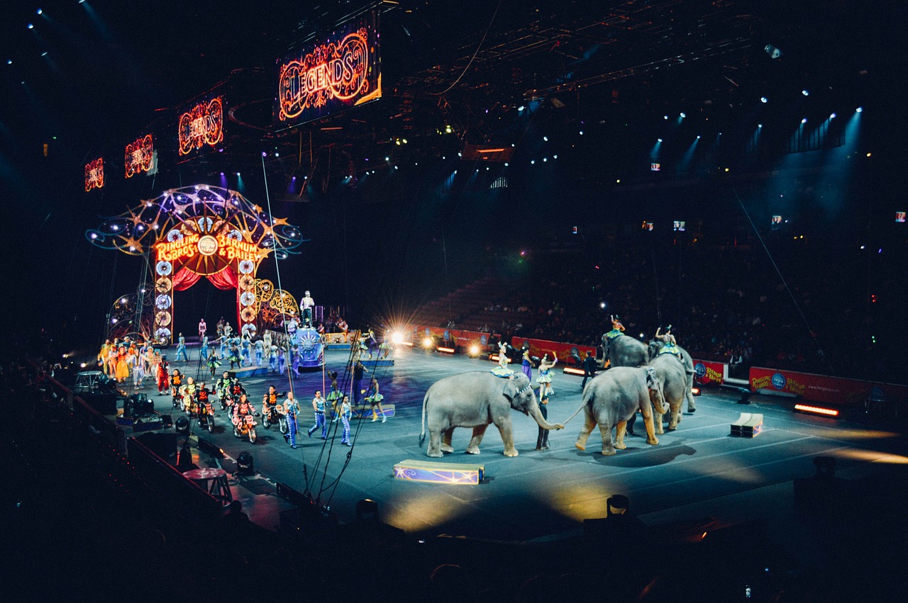 circus-828680_1280.jpg